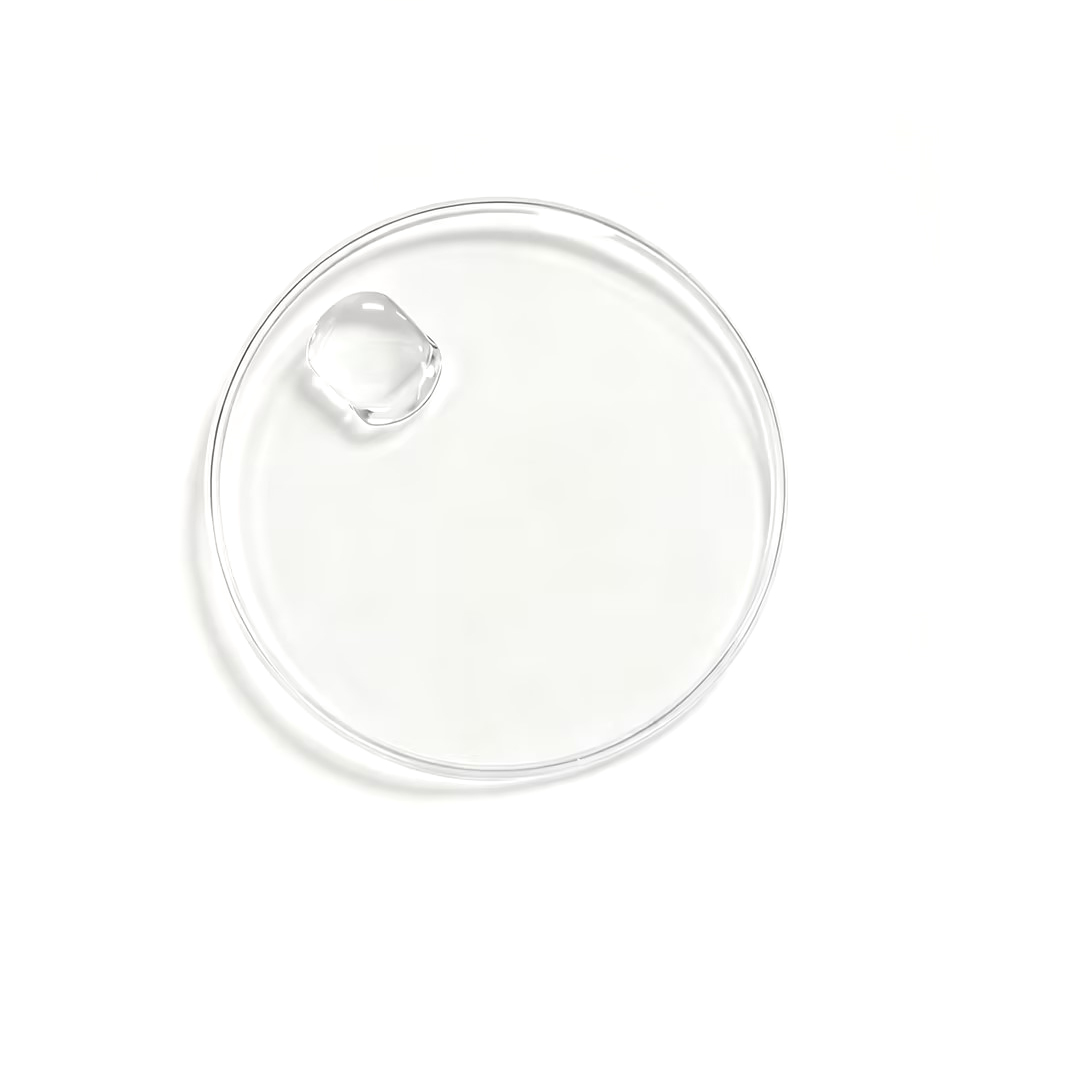 Sapphire Crystal Watch Glass w - Watch Crystal Replacement 리뷰 및 가격